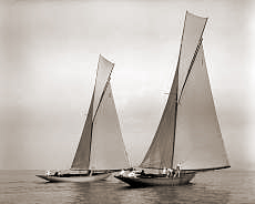 Kelpie 1903