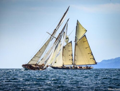 Capri Classica SCHOONER CUP